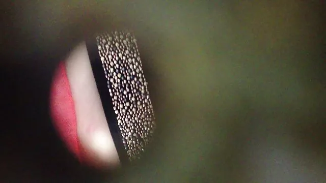 Naughty วีดีโอ โป้ ว chick with trimmed pussy is fucked by two furious กระดุม