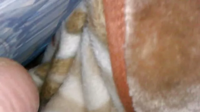 ยายร้อน Ladislava masturbates อย่างเข้มข้นด้วย dildo วีดีโอ โป็ะ